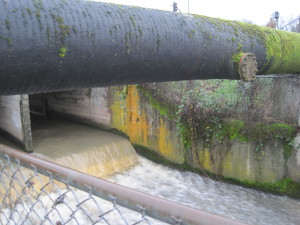 Storm sewer. Walled creek. Brown glass, liquid glass. Downstream. Roar. Harsh. Orange. Blackberries.